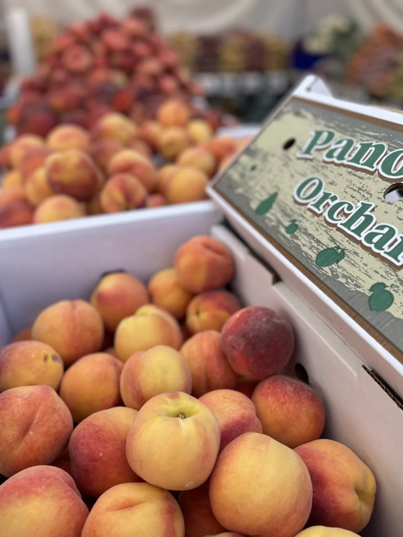 Panorama Orchards - Calgary Farmers' Market